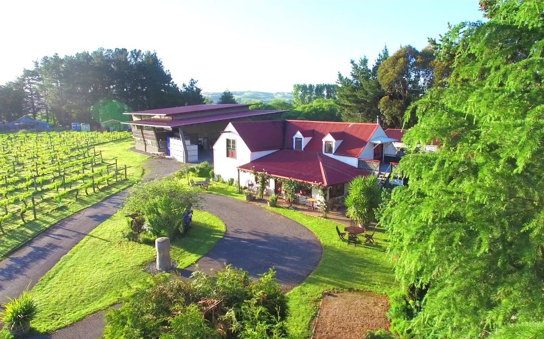 Co-Investment Opportunity: Award Winning Pinot Noir – Gladstone Vineyard  – Own a slice of Premium NZ Pinot Property